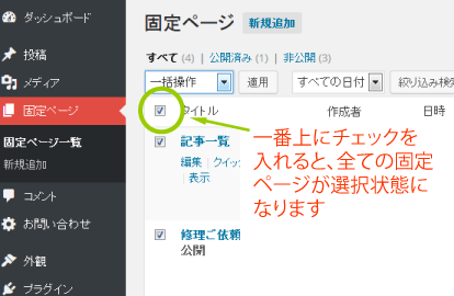 固定ページ一覧2チェックを入れる