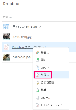 Dropboxデータ削除