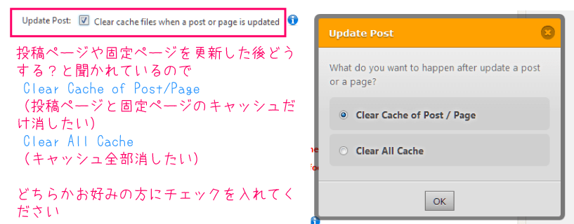 Update Postの詳細設定