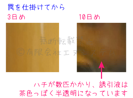 ハチ激取れ・誘引剤の変化