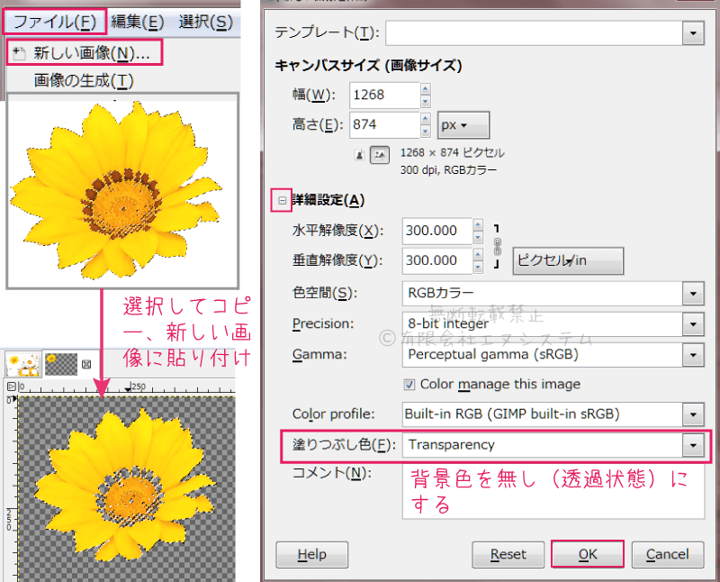 選択範囲のみコピー