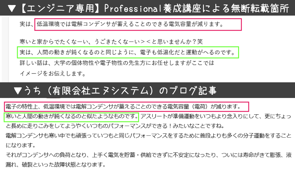 Professional養成講座による著作権侵害